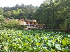 -韶山毛泽东同志故居