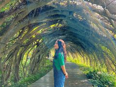 -广西壮族自治区药用植物园