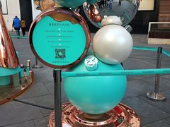 -Tiffany & Co.蒂芙尼
(南京德基广场店)