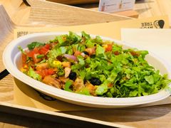 -油梨树AVOCADO TREE(嘉里中心店)