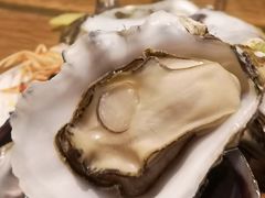 高压锅生蚝-金德酒楼(沧口路店)