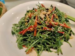 -园林美食城·本土农家菜(杨和镇店)