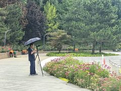 -大望京公园