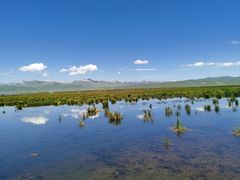 -花湖生态旅游区