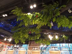 -蕃茄述·好汤自然来(江汉路店)