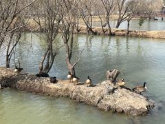 -长兴太湖图影湿地文化园