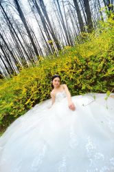 森林 白沙-爱摄影工作室(场中路店)