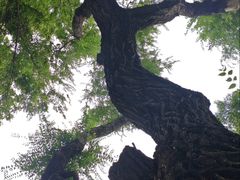 -水磨沟公园