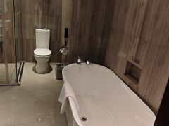 -常州环球恐龙城维景国际大酒店