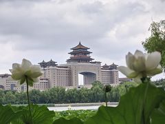 -莲花池公园