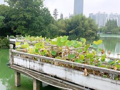 -浮庄