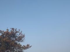 -秦皇岛新澳海底世界