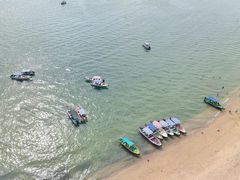 -广东惠东海龟国家级自然保护区