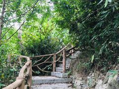 -海南热带雨林国家公园吊罗山景区