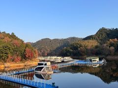 -千岛湖龙川湾