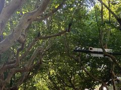 -一尺花园(安和花园店)