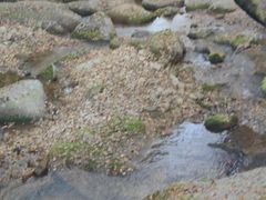 -丹东天桥沟景区