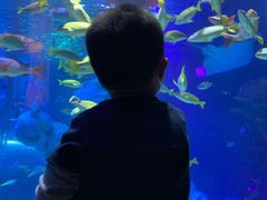 -沈阳海洋探索中心