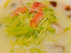 上汤豆苗-京味民福烤鸭店(建设四马路店)