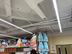 -盒马X会员店(王府井奥莱UP TOWN店)