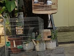 -丽江庭院·云南野生菌·海鲜火锅(鼓楼四合院店)