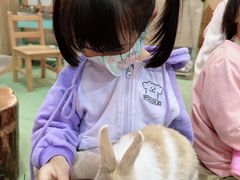-藦茜花园宠物主题亲子互动体验馆(国顺东路店)