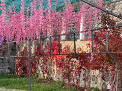 -北京十三陵国家森林公园蟒山景区