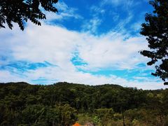 -大屏嶂森林公园