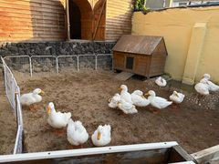 -HERRE·FARM 赫尔露营农场·团建聚会包场