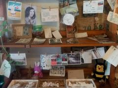 -参差咖啡(水果湖公园店)