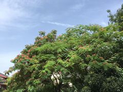 -西安华清御汤酒店