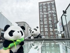 -成都太古里IFS国金中心亚朵X酒店