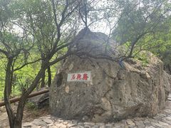 -阳台山自然风景区