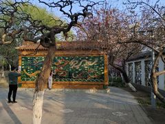 -桃花堤公园