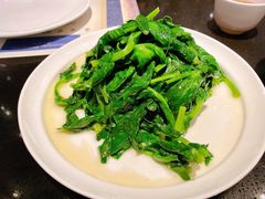 -眉州东坡酒楼