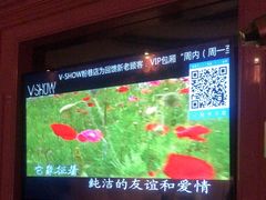 -V SHOW max KTV(粉巷店)