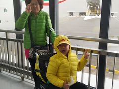 -歌诗达邮轮(宝杨路码头)
