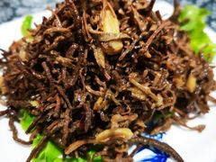 -老家菜馆(正定店)