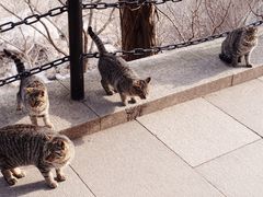 -崂山九水游览区
