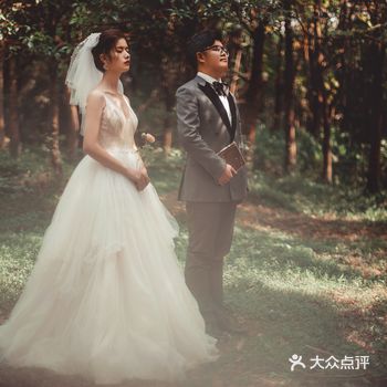 树林里洋溢着太阳 穿过树叶的阳光 微风吹过沙沙的树叶