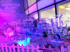 -世界之窗阿尔卑斯冰雪世界