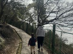 -平湖九龙山旅游度假区