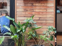 -Elephant Grounds(STARSTREET)