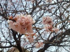 -吉林大学(新民校区)