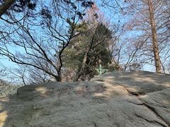 -庐山风景区花径公园