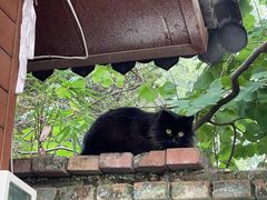 -鹅岭公园瞰胜楼