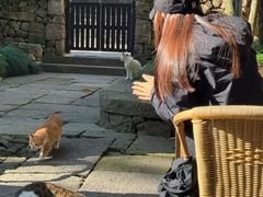 -法云安缦酒店