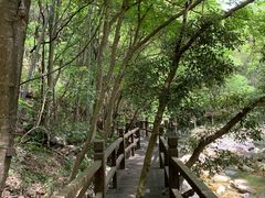 -祁门牯牛降观音堂风景区