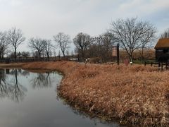 -宁波杭州湾国家湿地公园
