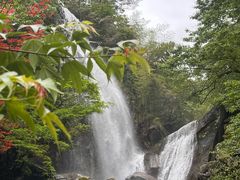 -大围山国家森林公园